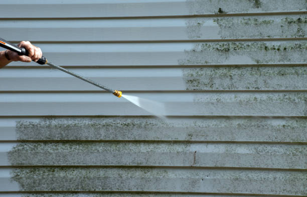 Best Dumpster Area Cleaning  in Lakin, KS
